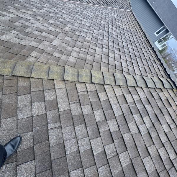 A wide view along a shingle roof slope with a green moss streak running the length of the ridge