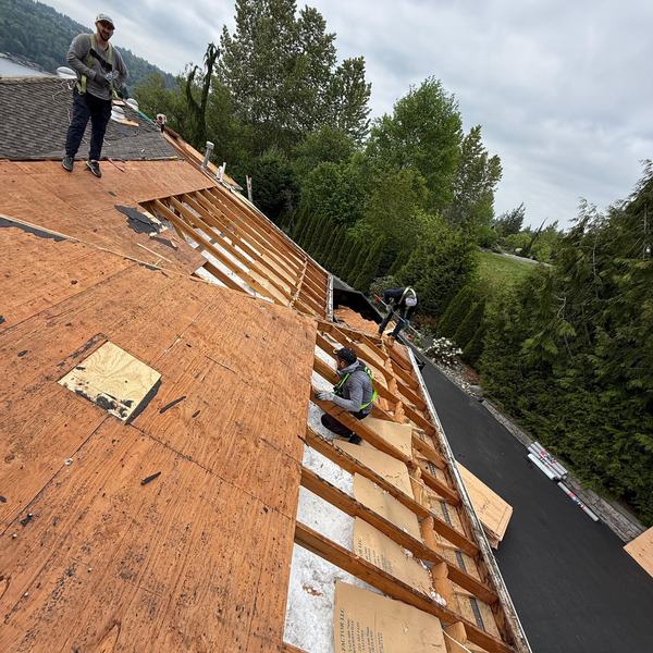 Three roofers working on a stripped roof, one standing on the ridge, one kneeling to fix decking and one at the edge, with fresh plywood laid across the rafters