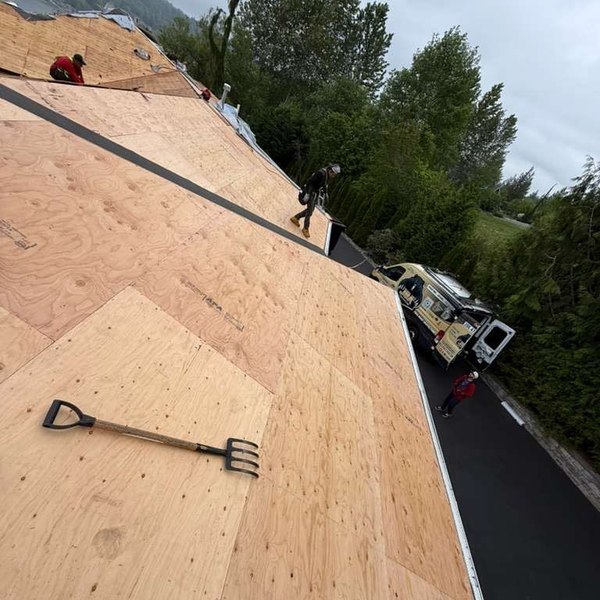 A steep roof stripped back to fresh plywood decking, a roofer walking the slope above and the work van parked on the drive below